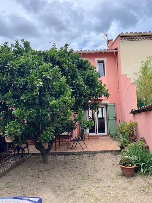 Maison De Village Vintage Avec Grand Jardin Elne Exterior photo
